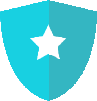 shield icon